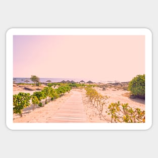 Pathway to the beach in Oman pink version Sticker